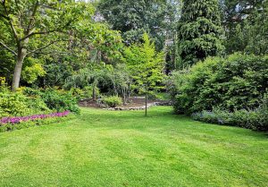 Optimiser l'expérience du jardin à Cricqueboeuf