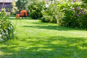 travaux jardin et paysage Cricqueboeuf